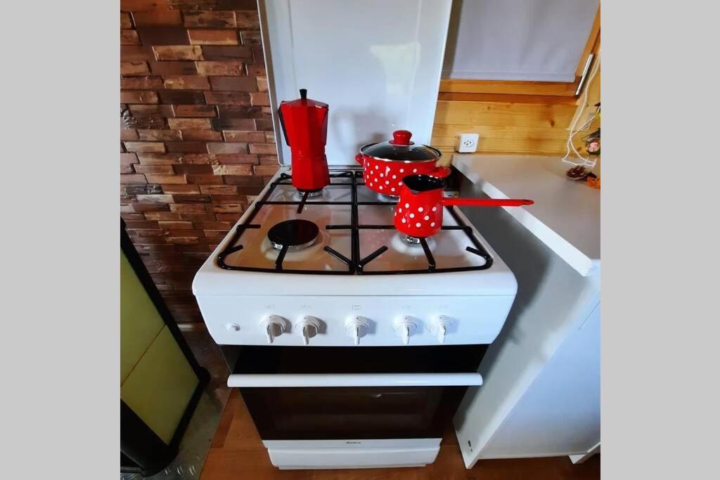Autarkes Tiny House Mit Rheinblick Apartamento Rumikon Exterior foto
